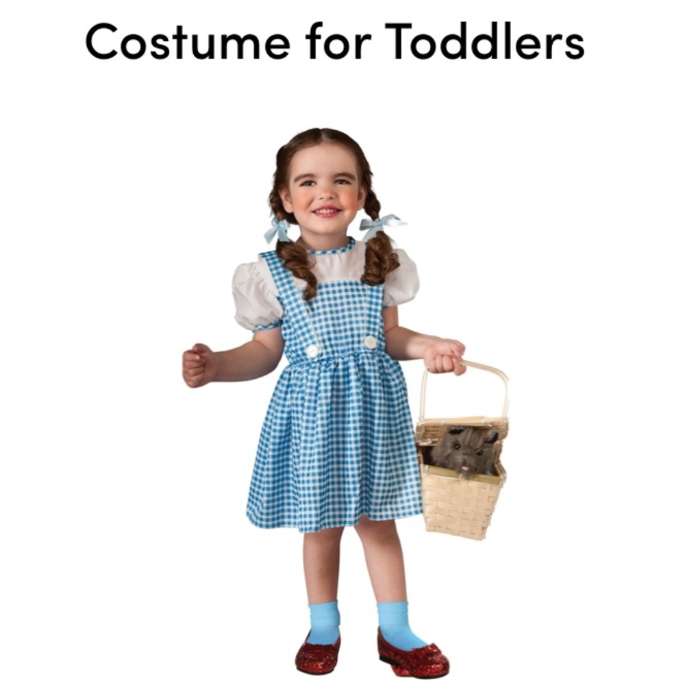 Dorothy costume